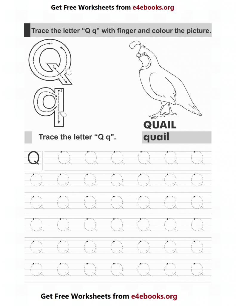 Alphabet Q Workbook