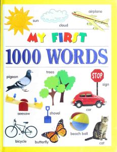 Rich Results on Google's SERP when searching for 'My First 1,000 Words Book'