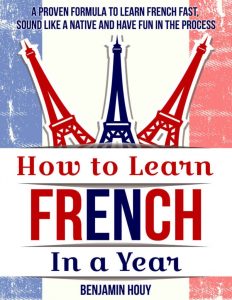 Rich Results on Google's SERP when searching for "How To Learn French In A Year Book"